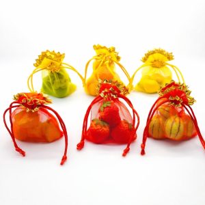 Small Potli Gift Bags | Drawstring Pouches for Festivals & Return Gifts - Set of 5 pcs