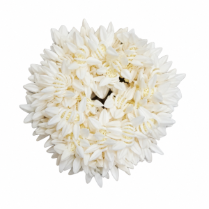 Artificial flower jasmine hair band / scrunchie.